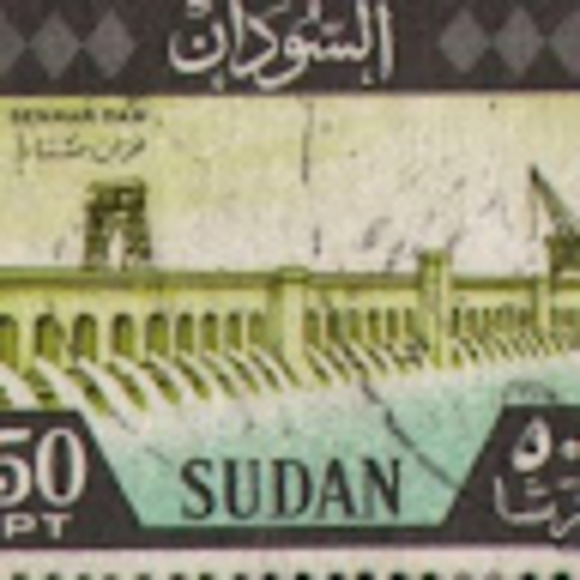 Meet your Posher, Ali - Picture 1 of 1